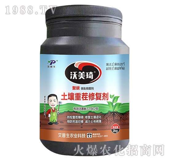 �����ز��ޏ̈́�-������-������