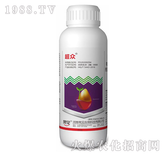 ���x�-����-��Ҋ����