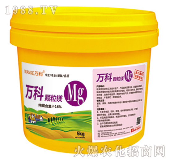 �w���V-�f(w��n)��