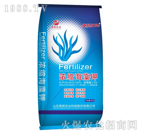 濃縮海藻鉀-英邦