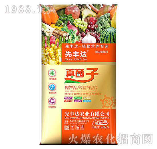 ֲ��I�B(y��ng)����-�����-���S�_(d��)