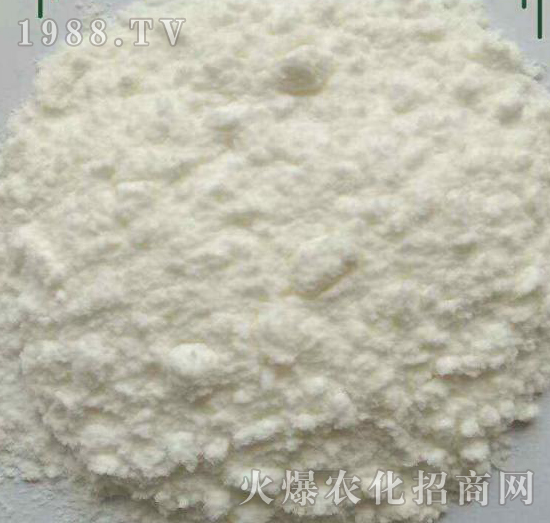 �����������-����