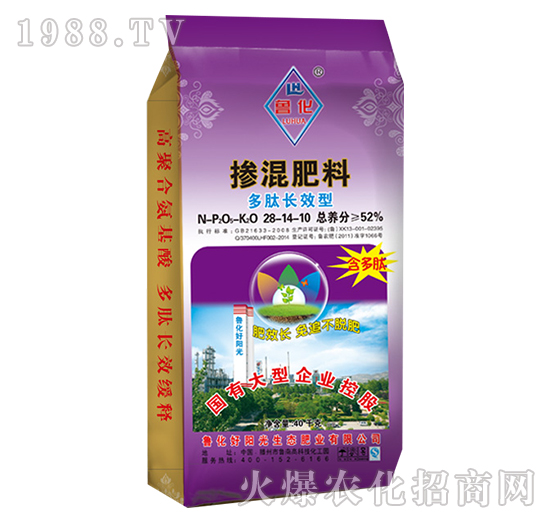 �����LЧ�͓������28-14-10-����