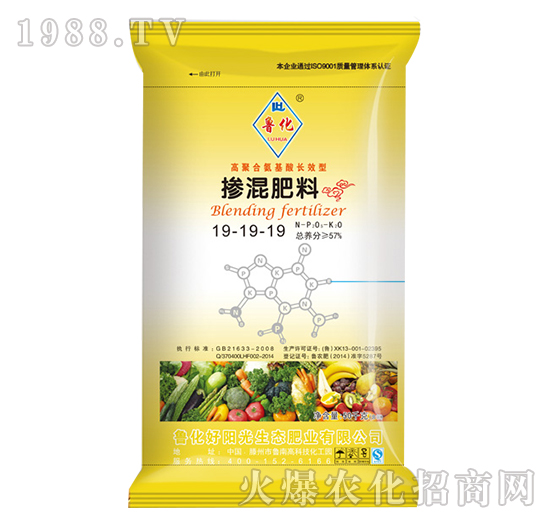 �������19-19-19-����