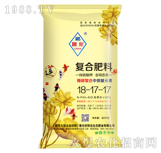 �Ǵ�������΢��Ԫ�؏ͺϷ���18-17-17-����