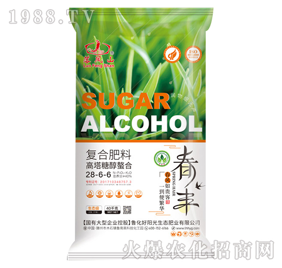 �����Ǵ����Ϗ�(f��)�Ϸ���28-6-6-���Pɽ-����