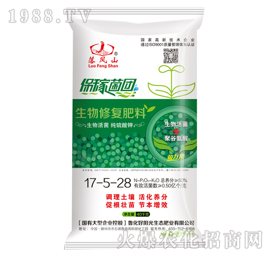 �����ޏ�(f��)����17-5-28-���Pɽ-����