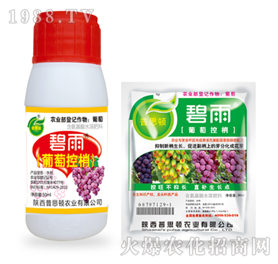 ���ѿ���-����-��˼�D�r�I(y��)