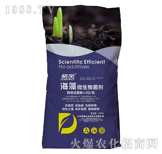 5億海藻微生物菌劑-紫寶-糧滿倉(cāng)