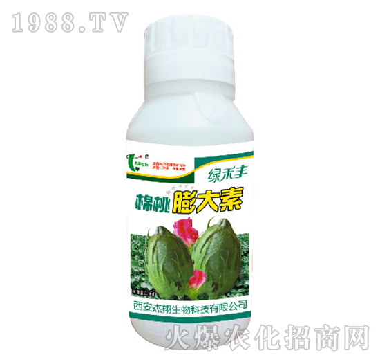 棉桃膨大素-綠禾豐-杰翔生物