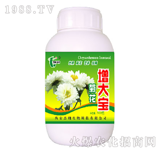 菊花增大寶-杰翔生物