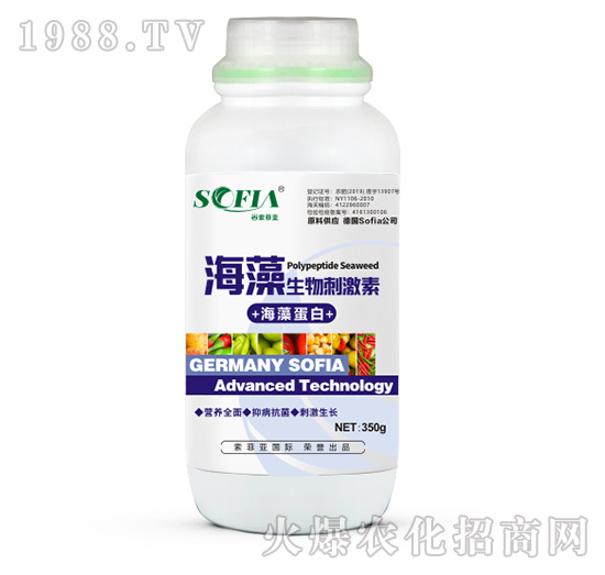 ��������̼���-���Ɓ�