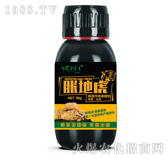 ���o�����{(di��o)�턩-Û�ػ�-���Ɓ�