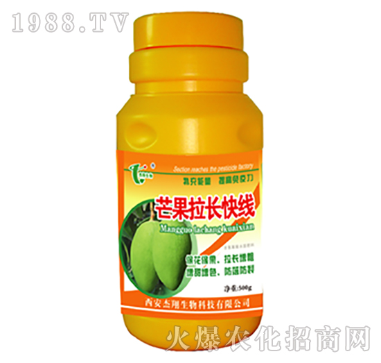 芒果拉長(zhǎng)快線-杰翔生物