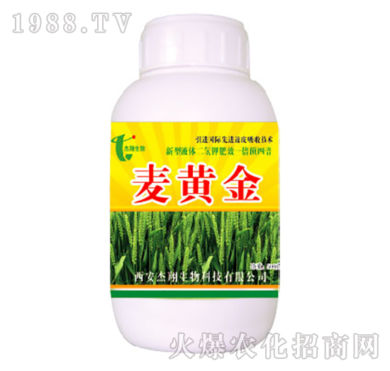 麥黃金-杰翔生物