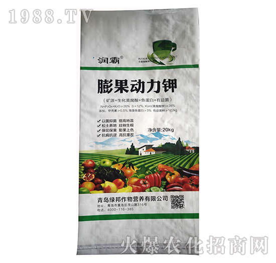 �����(d��ng)���-��(r��n)��-����������