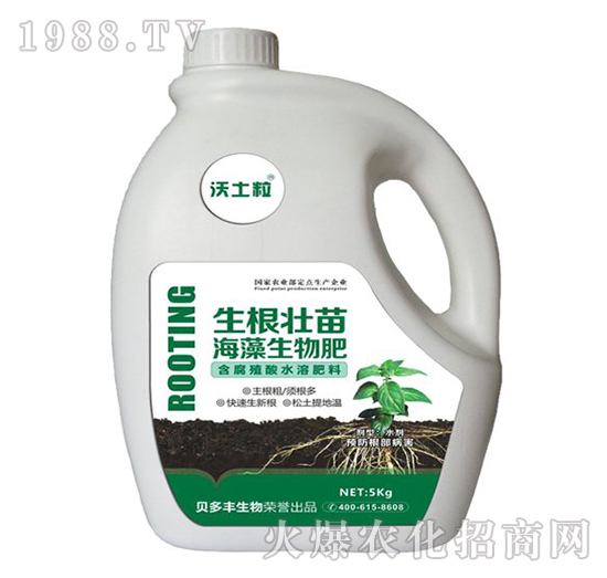 �������纣�������-ؐ���S