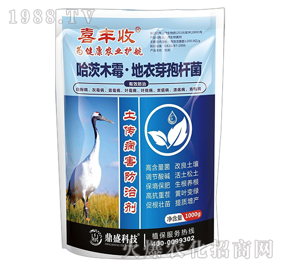 ����ľù��������ѿ�ߗU��-ϲ�S��-����ʢ�r(n��ng)