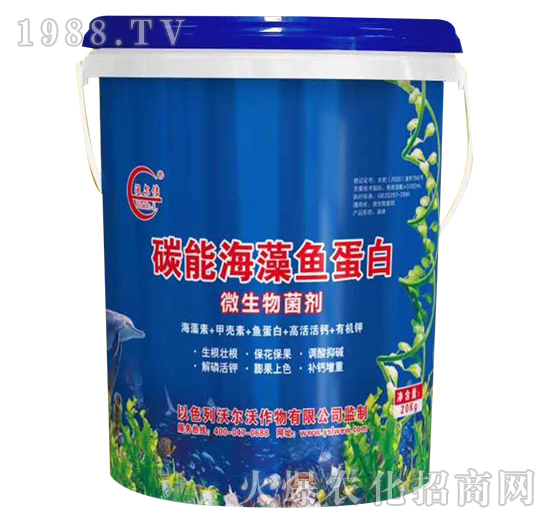 ̼�ܺ����~(y��)����-�֠�٥-�֠���