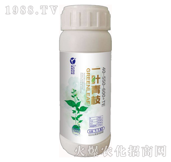 һ�~��֦-�A�˱���