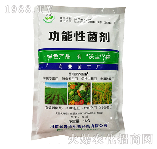 ���A(ch��)�I(y��ng)�B(y��ng)�͹������-�֌�����