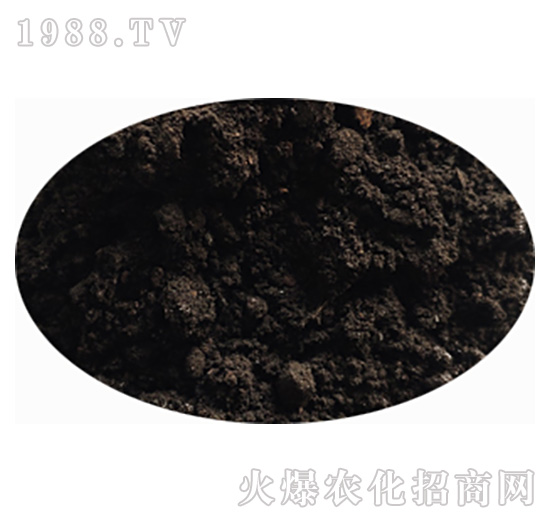 �l(f��)�ͷۄ�-���r(n��ng)��