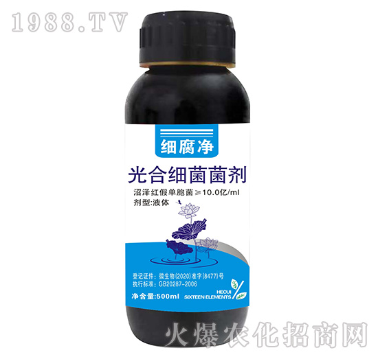 ��ϼ�(x��)������-��(x��)����-����