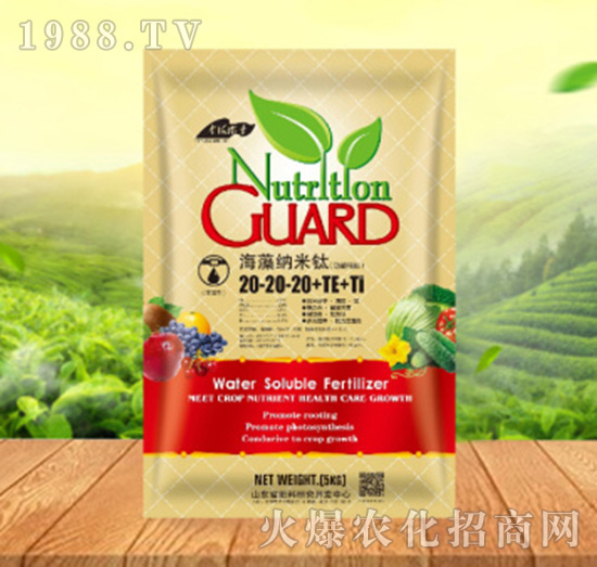 ����{����20-20-20+TE+Ti������-���ԁ��(l��)