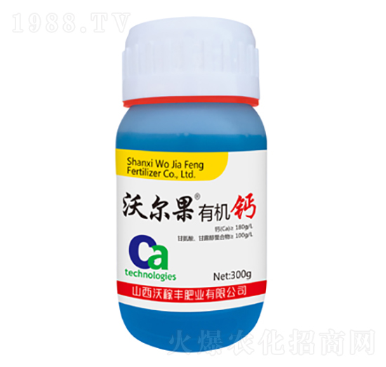 �ЙC�}-�֠���-�ּ��S�ʘI(y��)