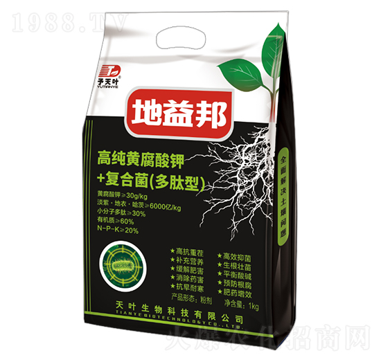 �߼��S�����+��(f��)�Ͼ��������ͣ�-�����-���~����