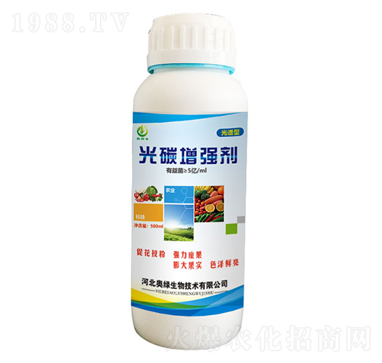 �V�V�͹�̼������-�W�G����