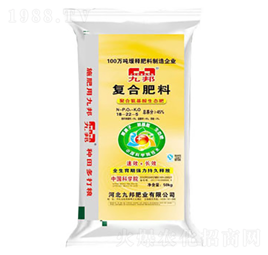 �ͺϷ���18-22-5-�Ű�