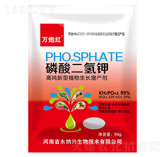 ��������-�f�ڼt-���{�d