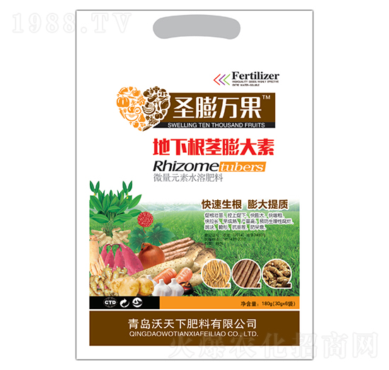 ���¸��o�����-ʥ���f(w��n)��-������