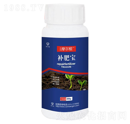 �a(b��)�ʌ�-Ħ����