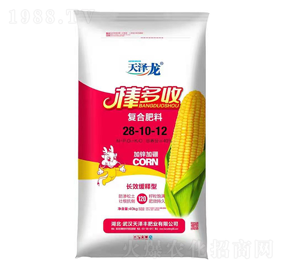 �LЧ����͏�(f��)�Ϸ���28-10-12-������-�����