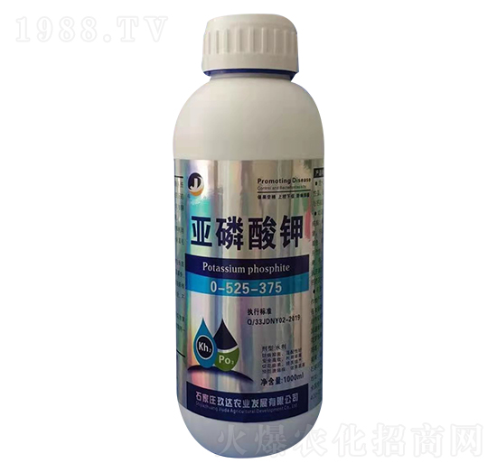 �������0-525-375-���_(d��)