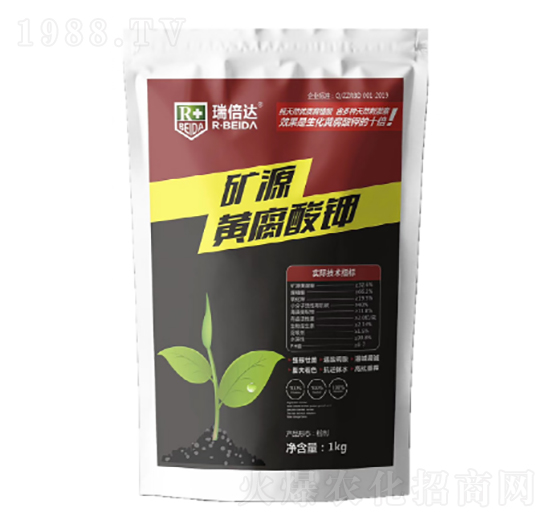 �VԴ�S�����-���_(d��)