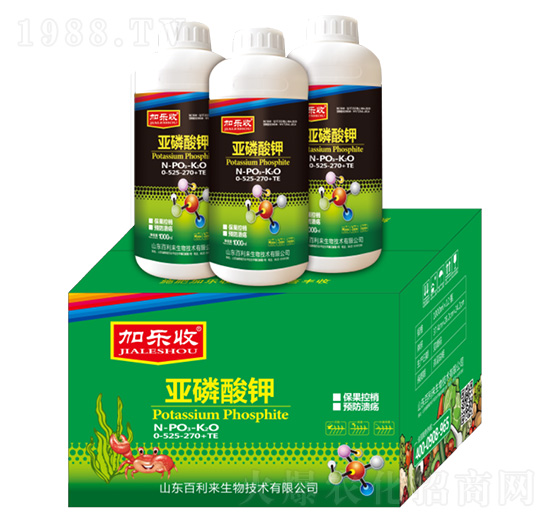 �������0-525-270+TE-�Ә���-������