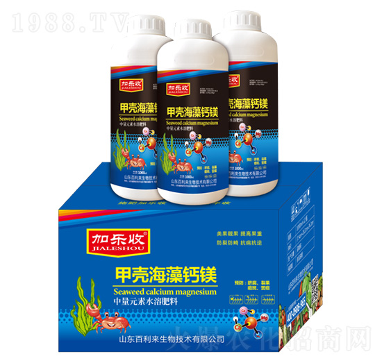 �ך������}�V-�Ә���-������