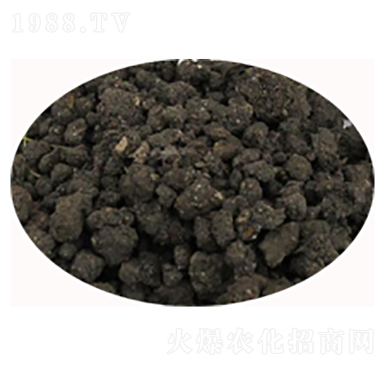 ���u�S�r(ji��)��-���S����