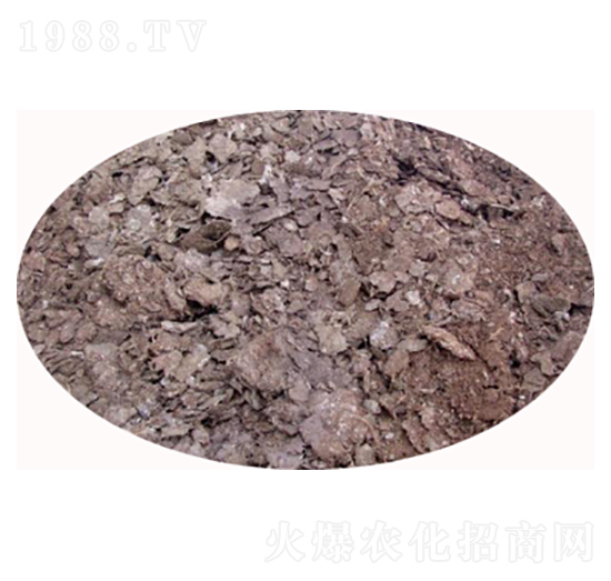 �u�S�l(f��)���ЙC(j��)��-���S����