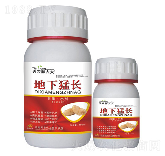 土豆專用地下猛長-天農(nóng)胖大大-天農(nóng)化工