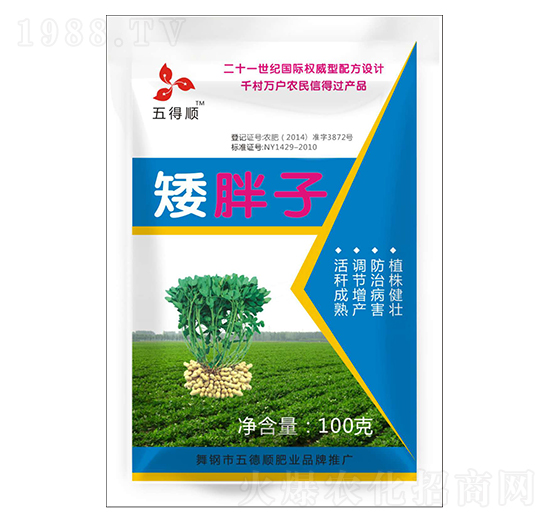 ������-����-����