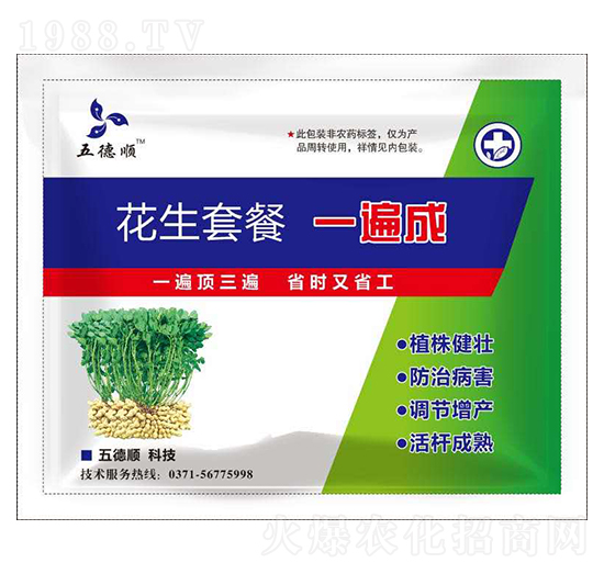 �����ײ�һ���-����