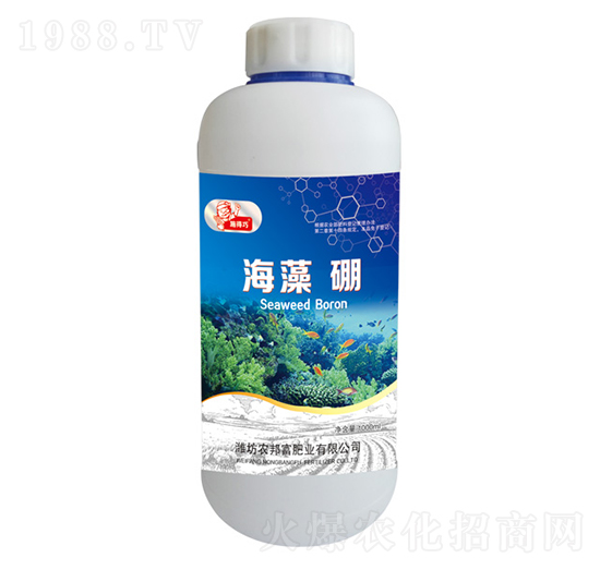 ������-�r(n��ng)�