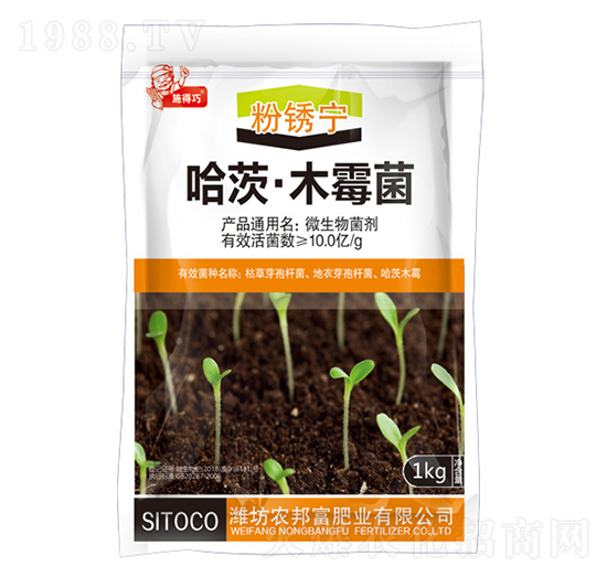 ���ġ�ľù��-���P��-�r(n��ng)�