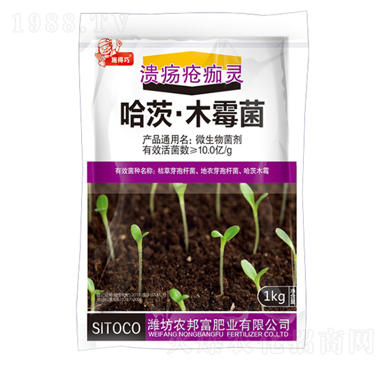 ���ġ�ľù��-���������`-�r(n��ng)�