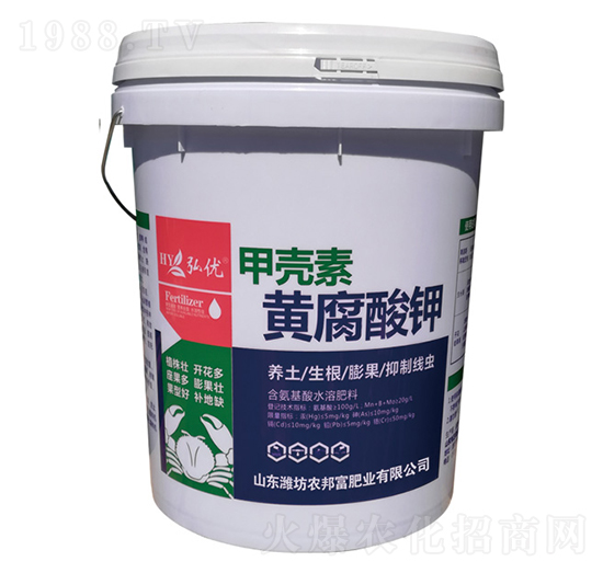 �ך����S�����-�r�