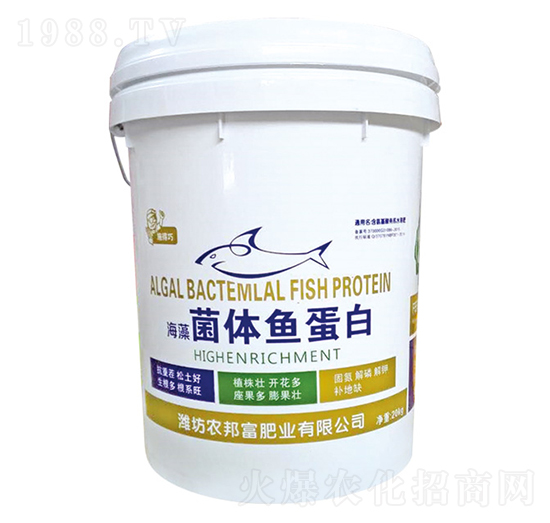 ������w�~����-�r(n��ng)�